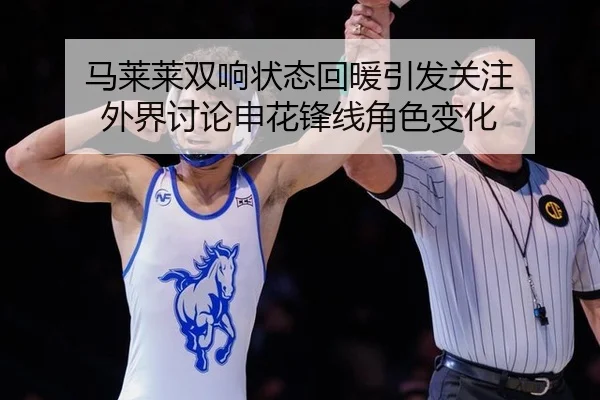 ma-lai-lai-shuang-xiang-zhuang-tai-hui-nuan-yin-fa-guan-zhu-wai-jie-tao-lun-shen-hua-feng-xian-jue-se-bian-hua-2-503.jpg