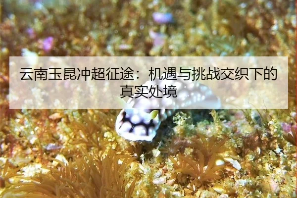 yun-nan-yu-kun-chong-chao-zheng-tu-ji-yu-yu-tiao-zhan-jiao-zhi-xia-de-zhen-shi-chu-jing-2-370.jpg